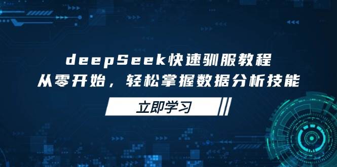 （14536期）deepSeek速成宝典，小白也能秒变数据分析大神-安索博客网