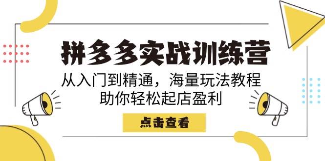 拼多多实战训练营，小白变大神，海量玩法全教给你，开店赚钱超简单-安索博客网