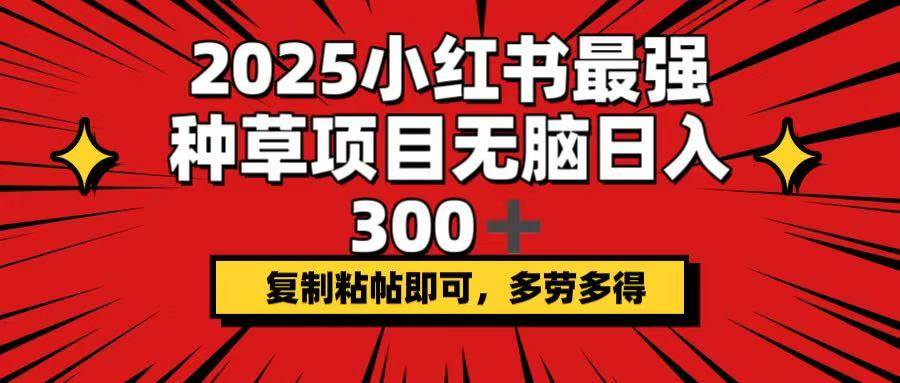 2025小红书最强种草项目，动动手指日赚300+，复制粘贴就能干，多劳多得-安索博客网