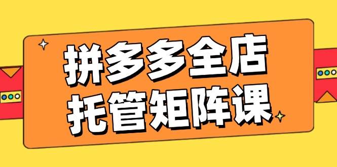 （14328期）拼多多全店托管矩阵课，搞钱动销玩法，计划设置超高效，店铺效益蹭蹭涨-安索博客网