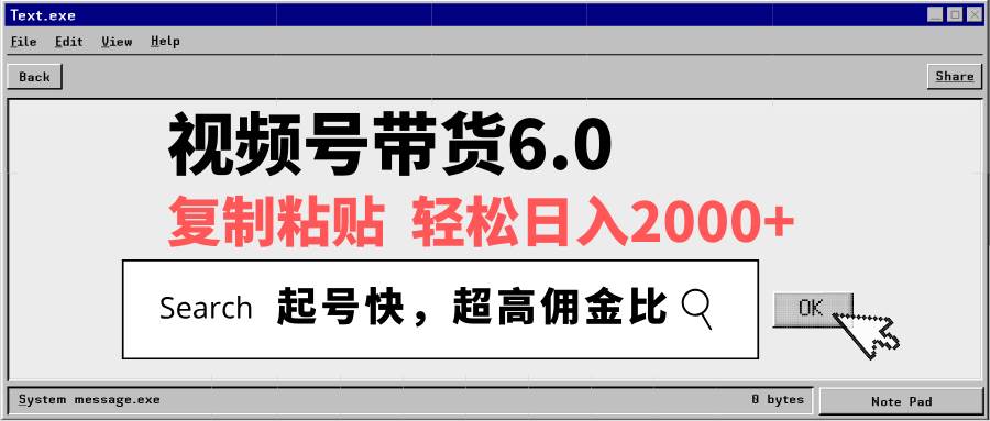 视频号带货6.0，日赚2000+超简单，复制粘贴就能干-安索博客网