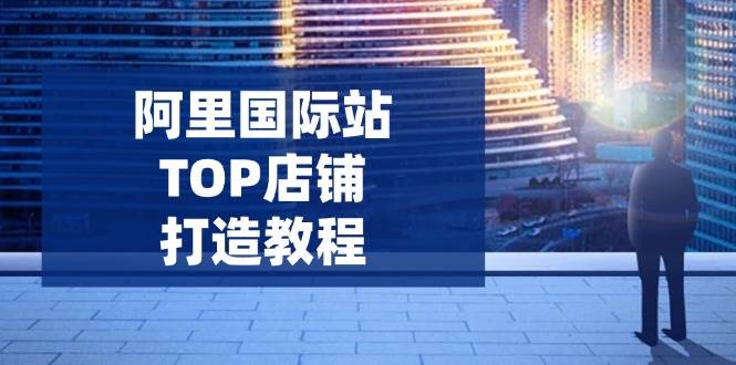 （14269期）阿里国际站TOP店铺打造教程：从入门到高阶，轻松搞定运营难题，询盘蹭蹭涨-安索博客网
