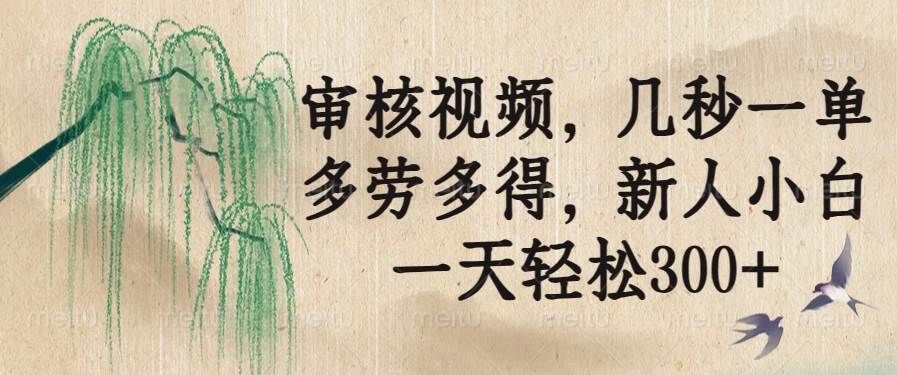 （14202期）审核视频，几秒一单，多劳多得，新手小白一天轻松300+-安索博客网