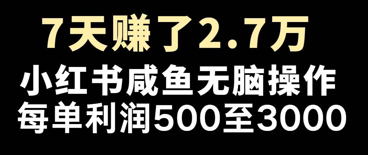 2025年最火的赚钱路子，翻身就靠它了！-安索博客网