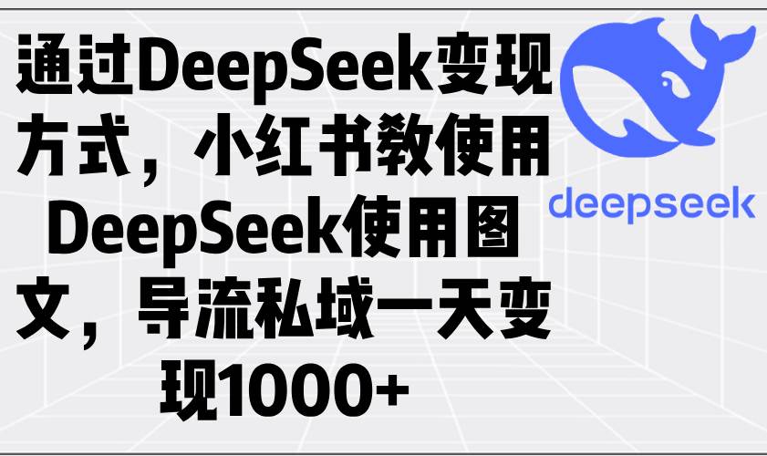 用DeepSeek赚钱：小红书教你怎么玩图文，引流到私域一天赚1000+-安索博客网