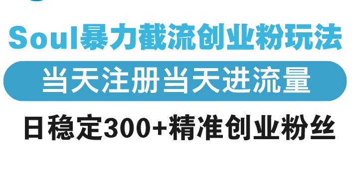 13935期：Soul上狠招截流创业粉，当天注册当天见效果，每天稳定搞300+精准粉丝-安索博客网