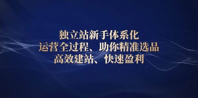 （13914期）独立站新手全套运营指南，选品、建站、赚钱一步到位-安索博客网
