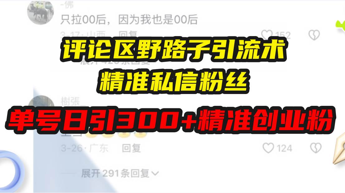 （13676期）评论区野路子引流秘籍，精准抓取粉丝，单号每天搞300+精准创业粉-安索博客网