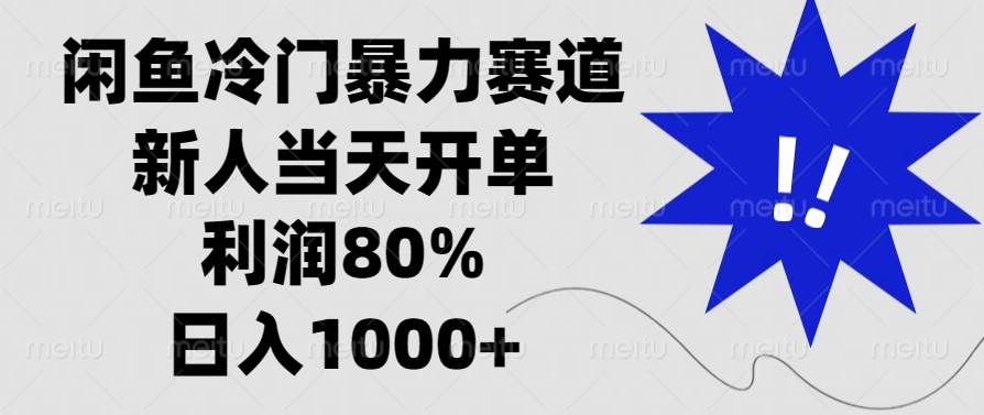 闲鱼冷门赚钱路子，新手当天就能出单，利润80%，日赚1000+-安索博客网