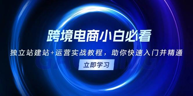 小白也能玩转跨境电商！独立站建站+运营实操课，带你从零变大神-安索博客网