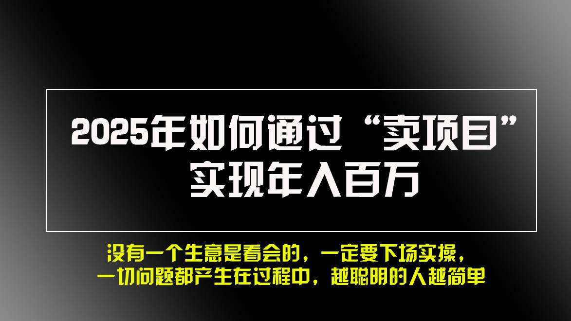 2025年怎么靠“卖项目”年入百万？网赚人必看！-安索博客网