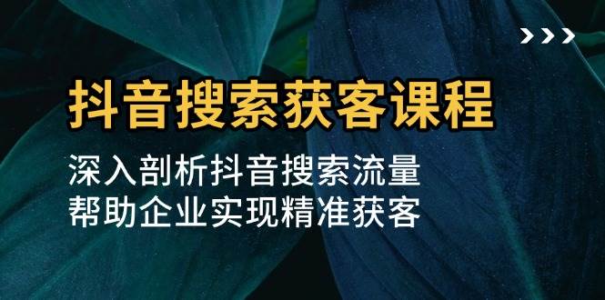抖音搜索获客课：手把手教你玩转搜索流量，精准找到客户-安索博客网