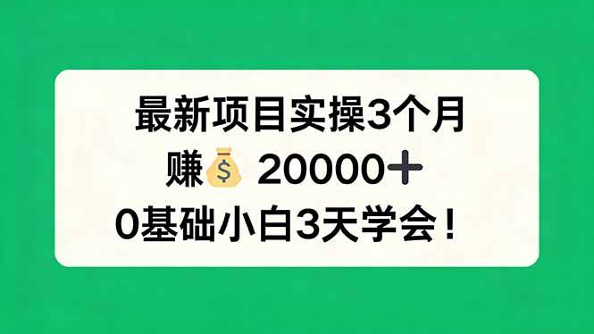 17856期新项目实操分享：3个月赚了2万+，小白也能3天轻松上手！-安索博客网