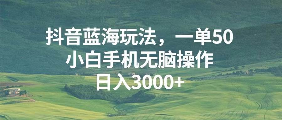 抖音蓝海新玩法，一单赚50，手机小白也能轻松操作，日入3000+不是梦-安索博客网
