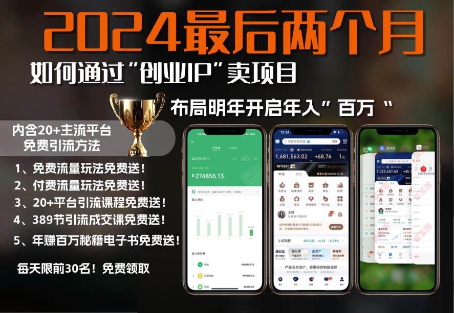 2024最后俩月，咋靠“创业IP”卖项目赚够100万？创业IP+超强引流法-安索博客网