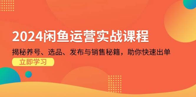 （13290期）2024闲鱼实战课：养号、选品、发布、销售全攻略，手把手带你快速出单-安索博客网