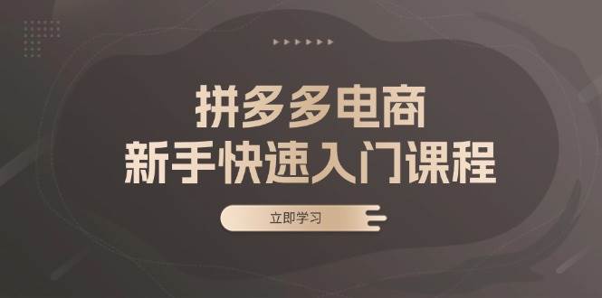 （13289期）拼多多新手电商课：从零开始学基础、实战和选款，小白也能轻松上手-安索博客网