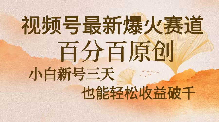 视频号新赛道火了！中老年粉丝超买账，纯原创，新号三天就能赚-安索博客网