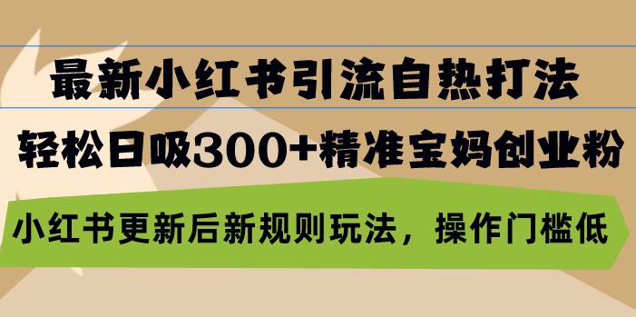 （13145期）最新小红书引流新玩法，轻松搞定300+精准宝妈粉，更新后超管用！-安索博客网