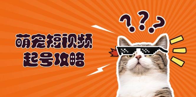 （13135期）萌宠-短视频起号攻略：定位搭建推流全解析，新手也能轻松搞出爆款-安索博客网
