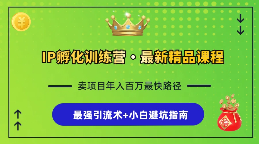 （13055期）IP孵化训练营，手把手教你知识变现+超强引流术+新手避坑指南-安索博客网