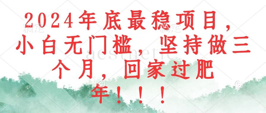 2024年底最靠谱的项目，小白也能轻松上手，坚持三个月，回家过个肥年！-安索博客网
