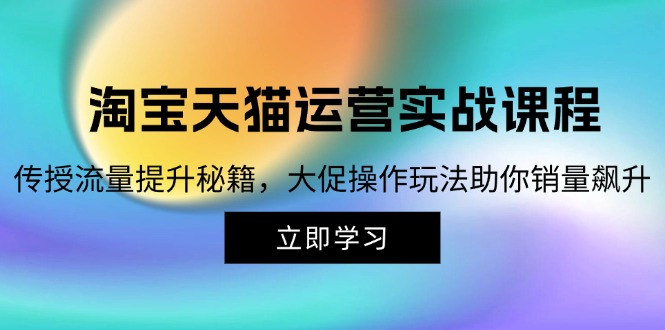 （12959期）淘宝&天猫运营实战课，手把手教你搞定流量密码，大促操作让销量蹭蹭涨-安索博客网