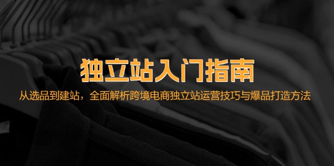 独立站新手入门攻略：从选到建，手把手教你玩转跨境电商运营和爆单技巧-安索博客网