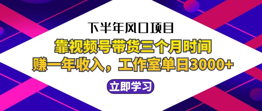 （12849期）下半年必火项目！靠视频号带货，三个月赚够一年的钱，工作室实测单日3…-安索博客网