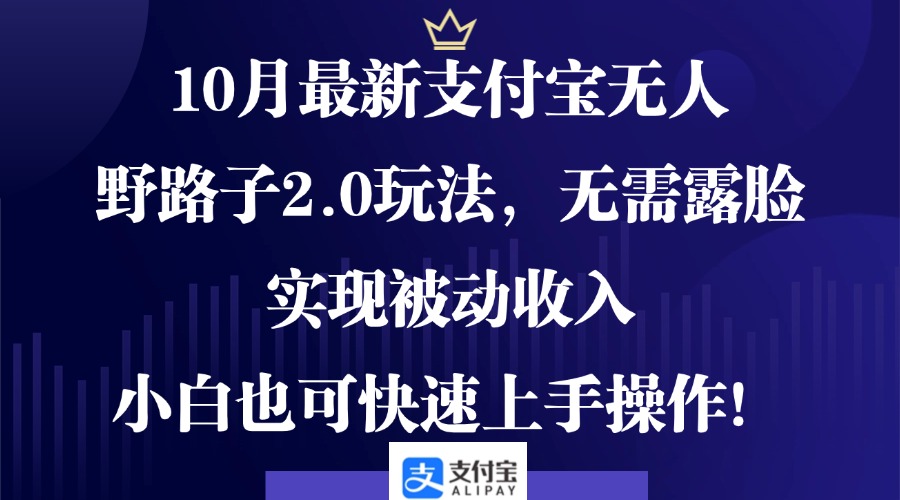 10月最新支付宝无人野路子2.0玩法，不露脸也能躺赚，小白也能上手-安索博客网