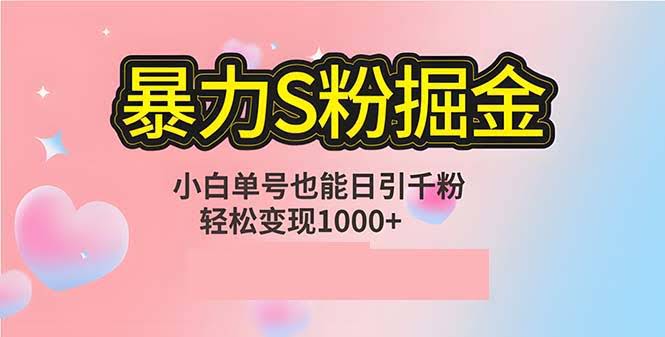 （12778期）一个人一台电脑，每天搞定上千粉丝，赚1000多块！S粉流量掘金计划攻略-安索博客网