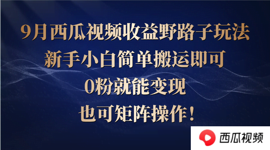 西瓜视频新手轻松赚钱，0粉就能上手，搬搬视频也能赚-安索博客网