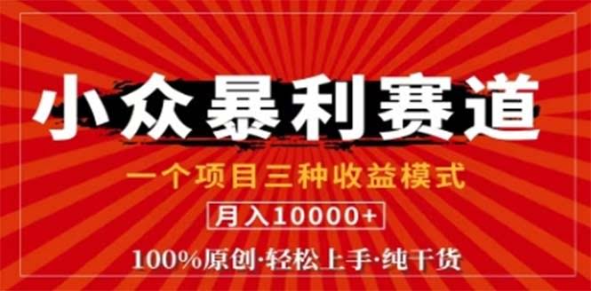 视频号最新爆火玩法：0粉新号也能条条原创、条条热门，日赚1000+-安索博客网
