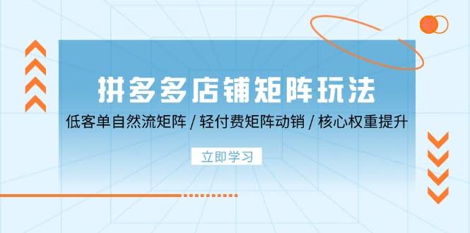 （12720期）拼多多店铺矩阵玩法：低客单自然流矩阵 / 轻付费矩阵 动销 / 核心权重提升-安索博客网