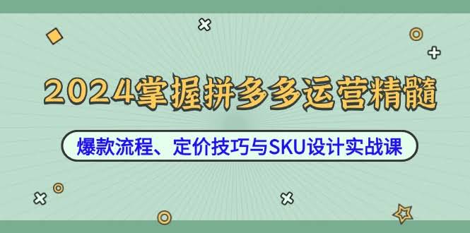2024拼多多运营核心：爆款打造、定价策略与SKU设计实战课-安索博客网