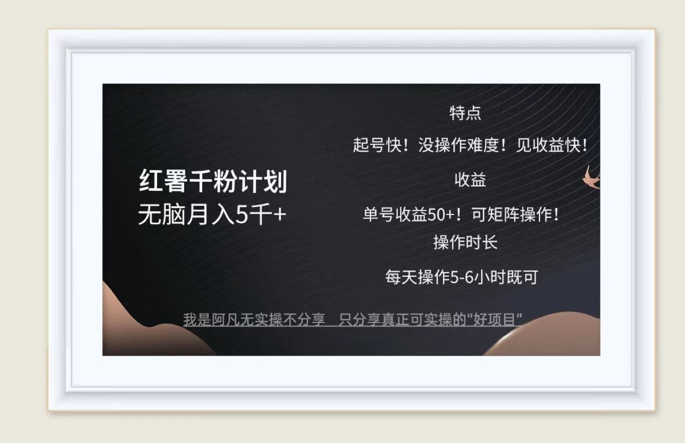 （12560期）红薯千粉计划：动动手指，月入5千+！做了就有钱赚！-安索博客网