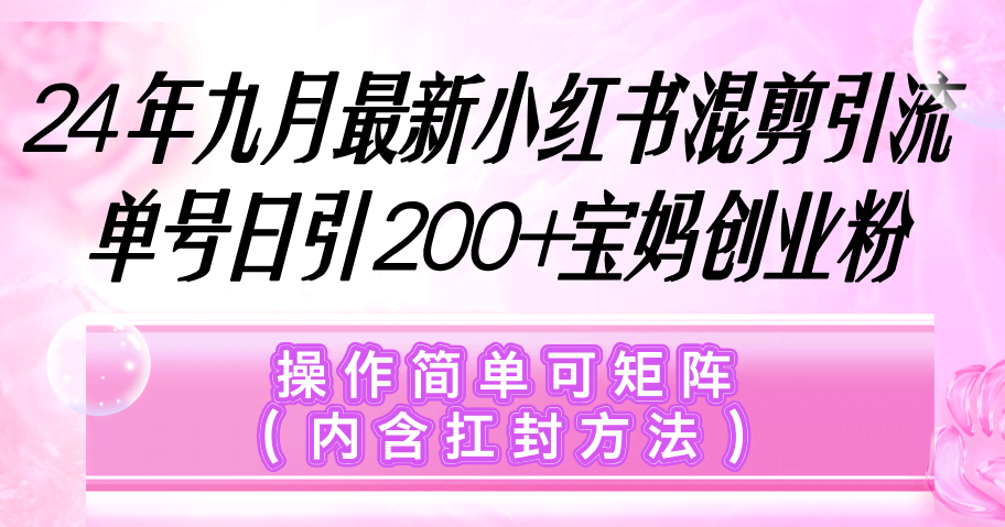 （12530期）小红书混剪引流，单号日引200+宝妈创业粉，操作简单可矩阵（内含扛封…）-安索博客网