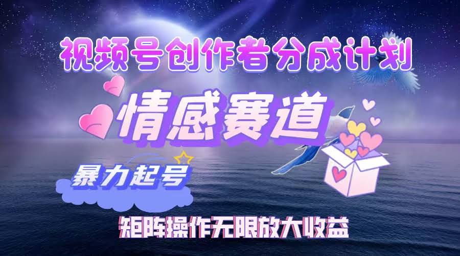 （12461期）视频号情感赛道，轻轻松松月入3万+，矩阵操作猛如虎-安索博客网