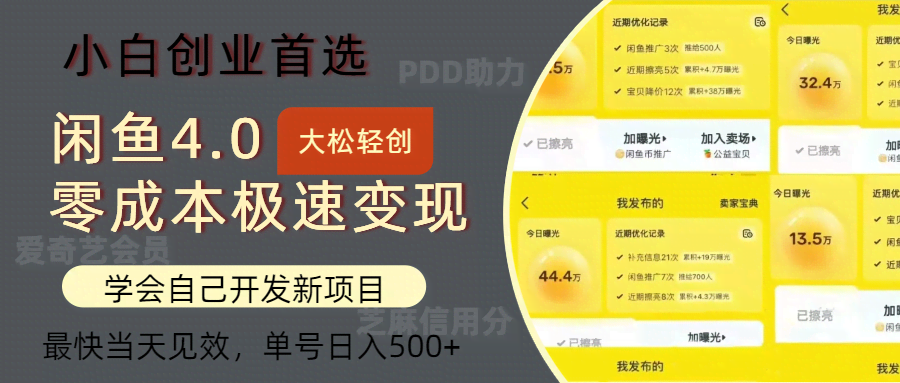 （12434期）闲鱼0成本极速变现项目，多种变现方式 单号日入500+最新玩法-安索博客网