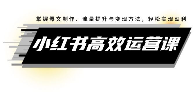 （12369期）小红书高效运营课：教你做爆文、涨流量、赚到钱，轻松上手-安索博客网