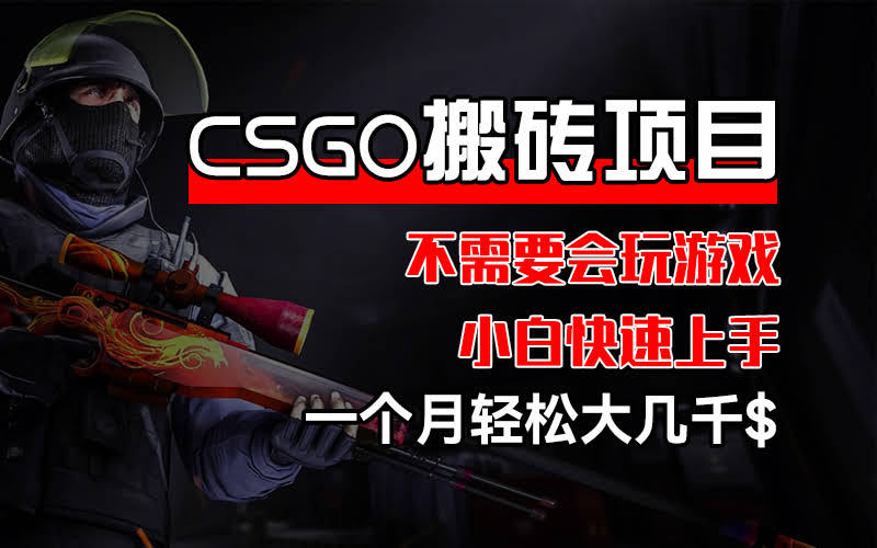 CSGO装备搬砖，零基础也能轻松搞钱-安索博客网