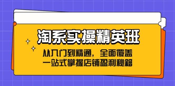 （12276期）淘系实操精英班：零基础到高手，一套搞定店铺赚钱秘籍-安索博客网