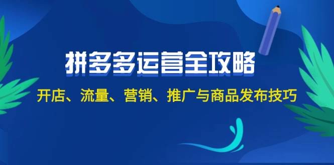 2024拼多多开店赚钱全攻略：从零开始，流量、营销、推广全搞定（无广告版）-安索博客网
