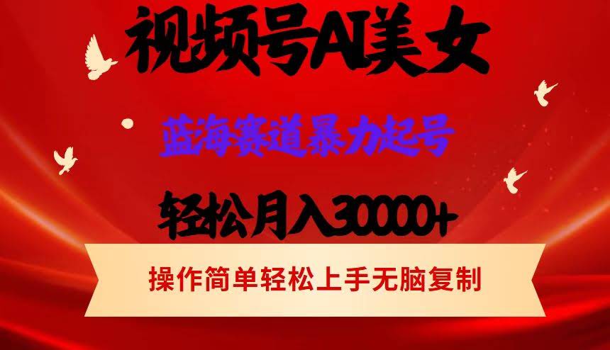 视频号AI美女跳舞，月入三万+轻轻松松！蓝海赛道流量大，起号飞快-安索博客网
