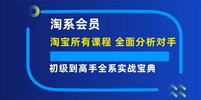 （12055期）淘系会员【淘宝所有课程，彻底看穿对手】，从新手到大神的全套实战宝典-安索博客网