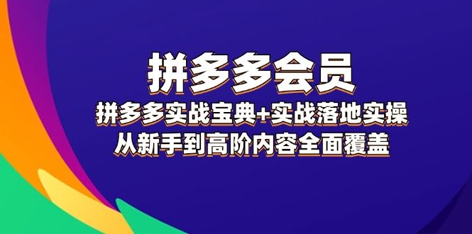 （12056期）拼多多会员，拼多多实战秘籍+手把手操作，新手到高手全都有-安索博客网