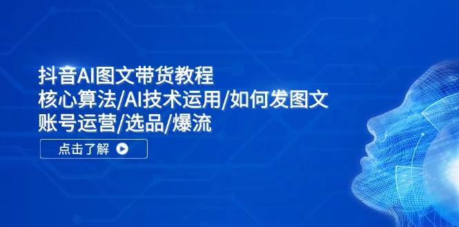 （11958期）抖音AI图文带货教程：核心算法、AI技术、发图文、账号运营、选品、爆流，全都有！-安索博客网