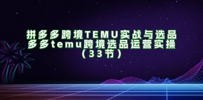 拼多多TEMU跨境实战课：选品+运营，33节干货带你上手-安索博客网