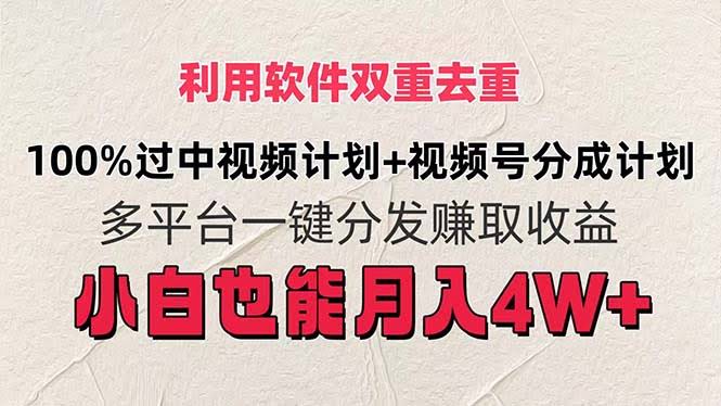 用软件轻松做原创视频，小白也能月入4万+！（11862期）-安索博客网
