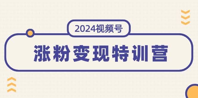 （11779期）2024视频号涨粉变现特训营：手把手教你玩转视频号，稳定涨粉赚钱（10节课）-安索博客网